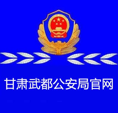 甘肅武都(dōu)公安局內(nèi)部官網建設！